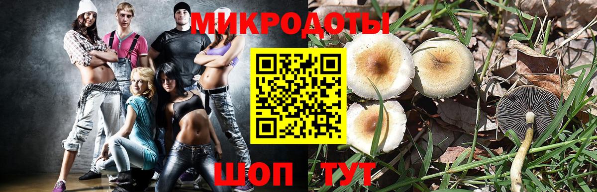 Волжский  Галлюциногенные грибы Psilocybine cubensis  Вход с VPN 